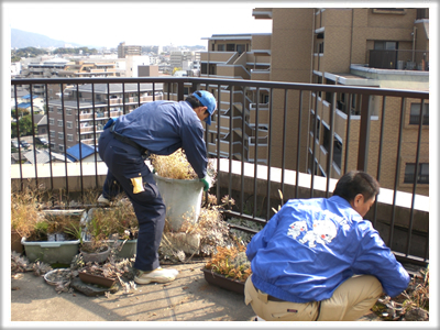 福岡市南区柳瀬の家一軒丸ごと【便利屋】暮らしなんでもお助け隊 福岡荒江店　春日のベランダ片付け施工中！